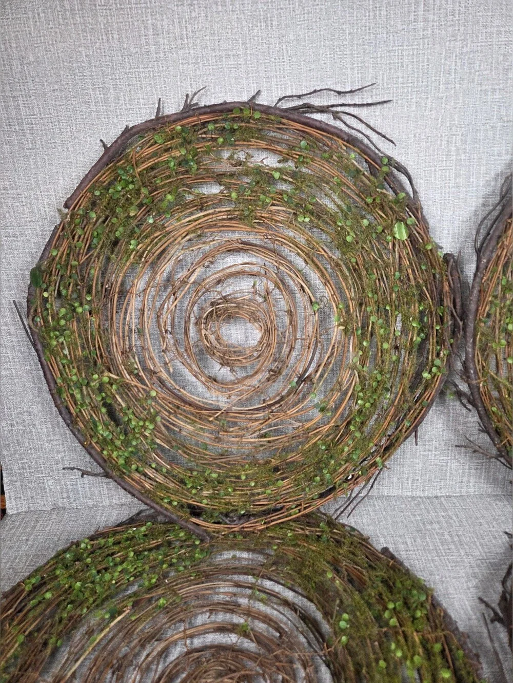 Pier 1 Rustic Twig Moss Round Placemats Wall Decor Charger Plates SET of 4